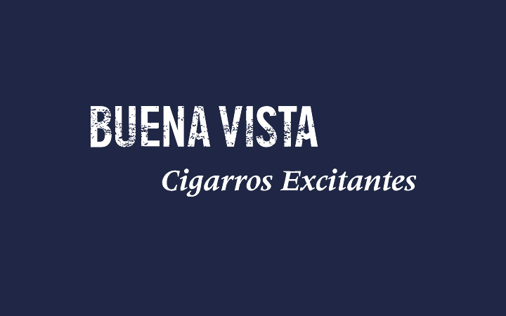 Markalara Göre Güncel Fiyat Listesi 9 Buena Vista logosu