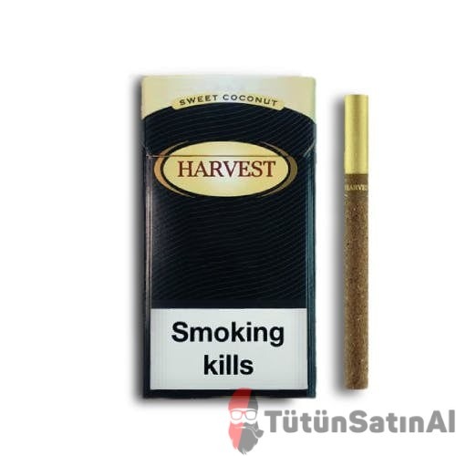 Harvest Sweet Coconut Little (Hindistan Cevizi) İthal Sigara 1 Harvest Sweet Coconut Little