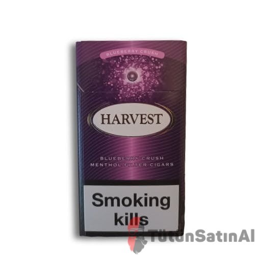 Harvest Blueberry Crush Süper İnce Sigarillo 1 Harvest Sigara