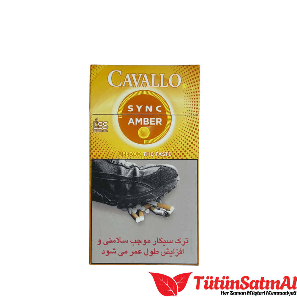 Cavallo Sync amber 1 Cavallo Sync amber