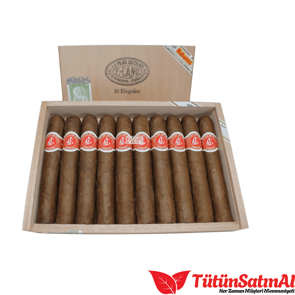 La Flor de Cano Markasının Puro Severlere Önerileri 14 La Flor de Cano Elegidos