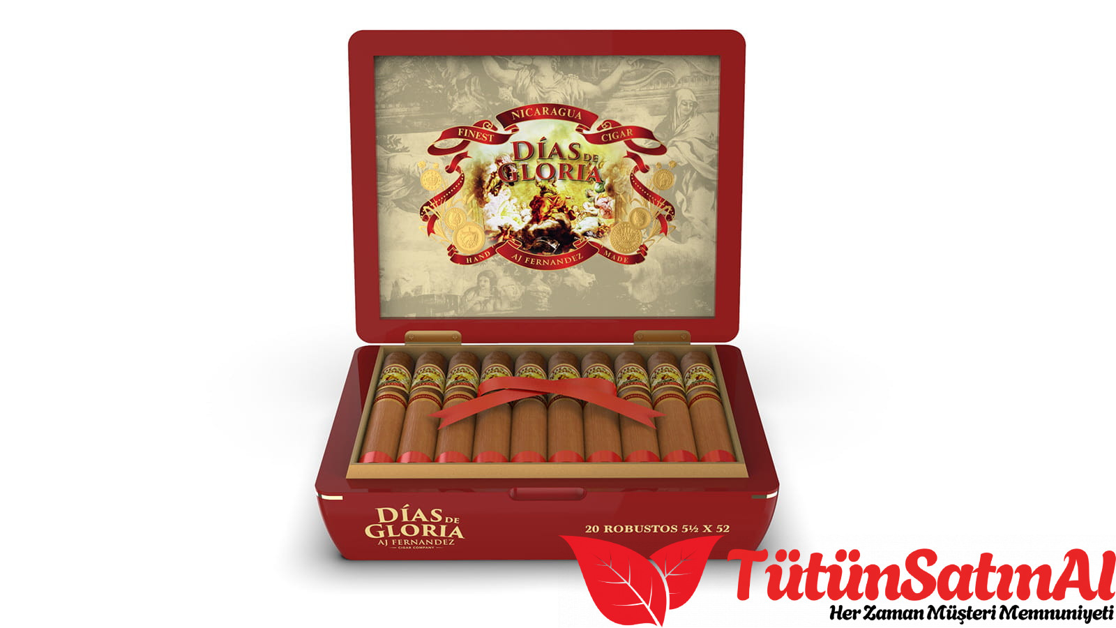 AJ Fernandez Días de Gloria Robusto 20’li Ahşap Kutu 1 AJ Fernandez Días de Gloria Robusto 20’li Ahşap Kutu ürün görseli