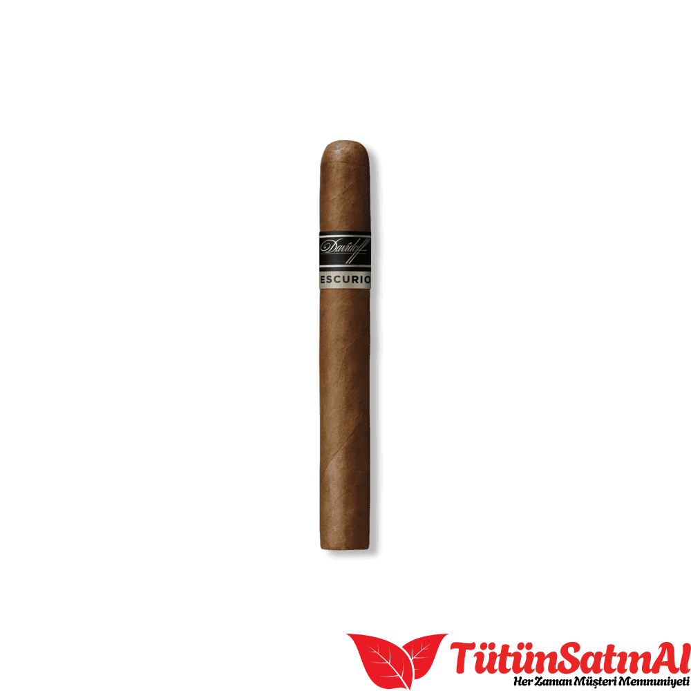 Davidoff Primeros Escurio – 6’lı Metal Kutu 2 Davidoff Primeros Escurio – 6’lı Metal Kutu ürün görseli