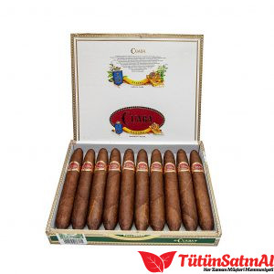 Cuaba Distinguidos Puro – 10’lu Kutu ürün görseli