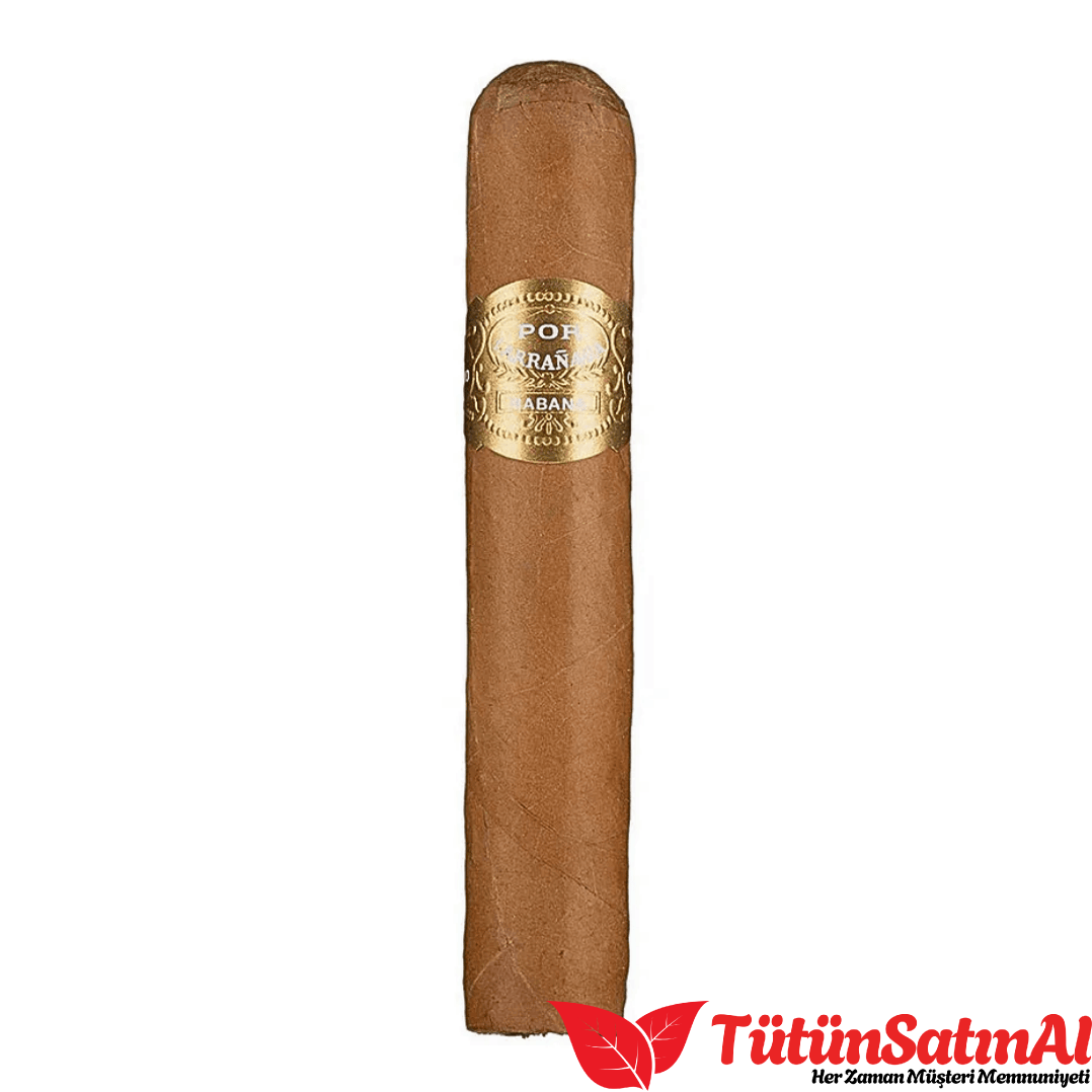 Por Larrañaga Galanes Puro – 10’lu Kutu 2 Por Larrañaga Galanes Puro – 10’lu Kutu ürün görseli