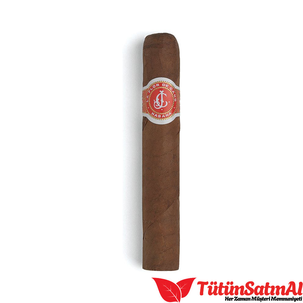 La Flor de Cano Elegidos Puro – 10'lu Kutu 2 La Flor de Cano Elegidos Puro – 10’lu Kutu ürün görseli
