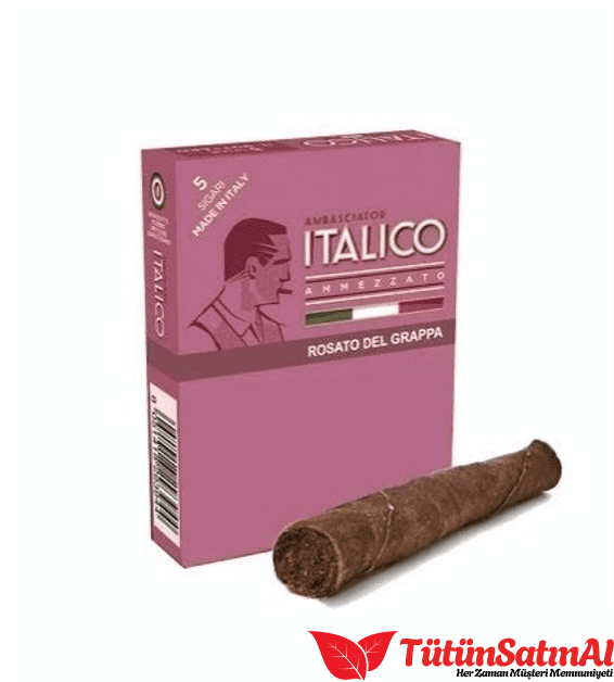 Italico Grappa Plum Puro : Meyve ve Likör 1 Italico Grappa Plum Puro : Meyve ve Likör ürün görseli