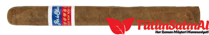 Oliva Flor de Oliva Original Toro Puro – 20’li Bundle 2 Oliva Flor de Oliva Original Toro Puro – 20’li Bundle ürün görseli