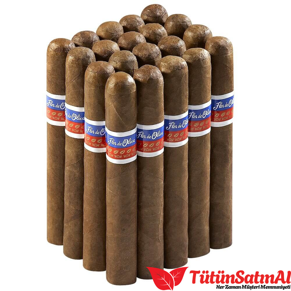 Oliva Flor de Oliva Original Toro Puro – 20’li Bundle 1 Oliva Flor de Oliva Original Toro Puro – 20’li Bundle ürün görseli