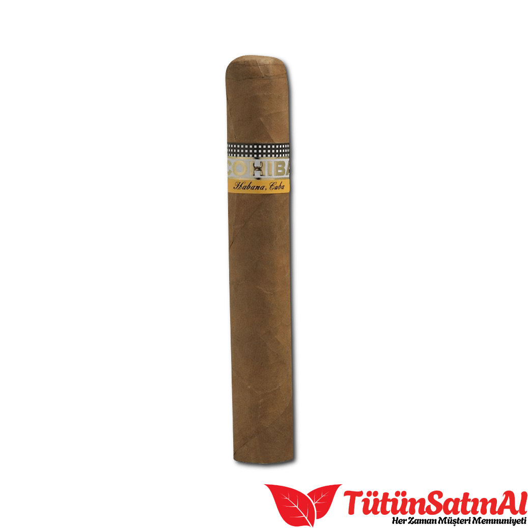 Cohiba Robustos Puro – 25'li Kutu 2 Cohiba Robustos Puro – 25’li Kutu ürün görseli