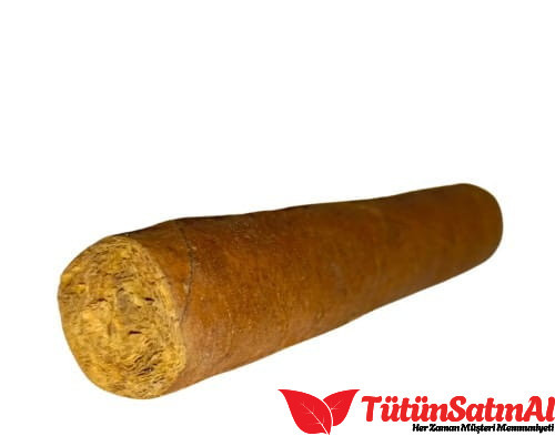 Don Salazar El Sarımı Tekli Puro 4 Don Salazar El Sarımı Tekli Puro ürün görseli