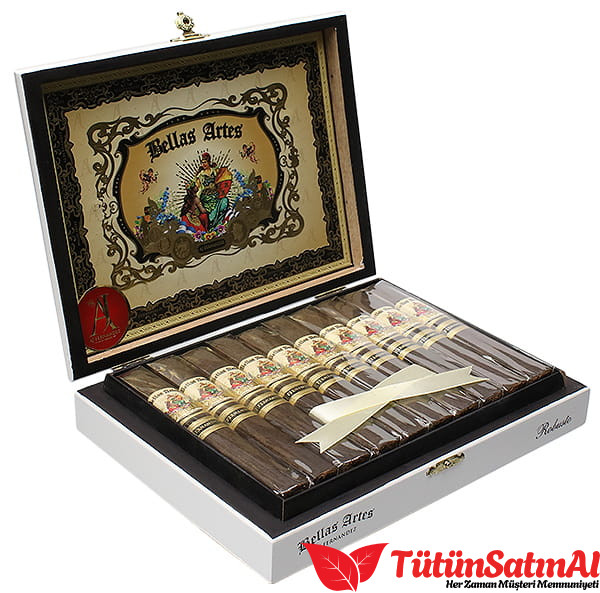 AJ Fernandez Bellas Artes Maduro Robusto 20’li Ahşap Kutu 1 AJ Fernandez Bellas Artes Maduro Robusto 20’li Ahşap Kutu ürün görseli
