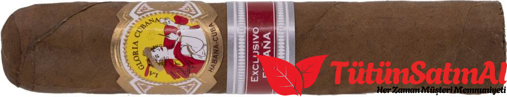 La Gloria Cubana Serie D No. 5 Puro – 10’lu Kutu (İspanya 2017) 3 La Gloria Cubana Serie D No. 5 Puro – 10’lu Kutu (İspanya 2017) ürün görseli