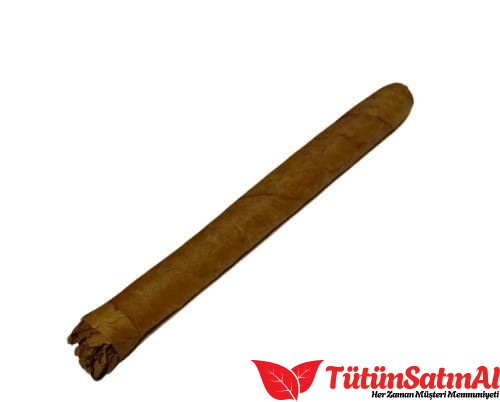 La Paz Wild Primeros 10 Cigaros Puro 2 La Paz Wild Primeros 10 Cigaros Puro ürün görseli