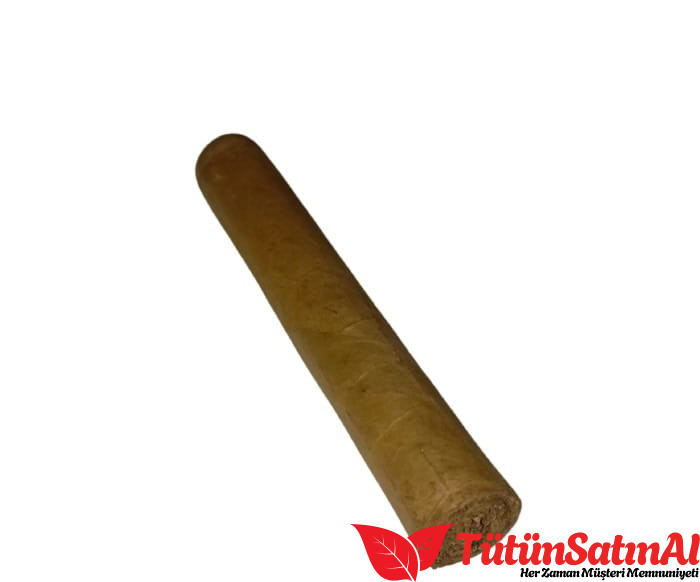 Mj Frias Cigars (6x60) 2 Mj Frias Cigars (6×60) ürün görseli