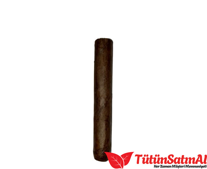 M.J. Frias Natural Robusto Puro 3 M.J. Frias Natural Robusto Puro ürün görseli