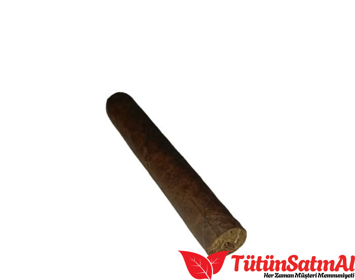 M.J. Frias Natural Robusto Puro 2 M.J. Frias Natural Robusto Puro ürün görseli