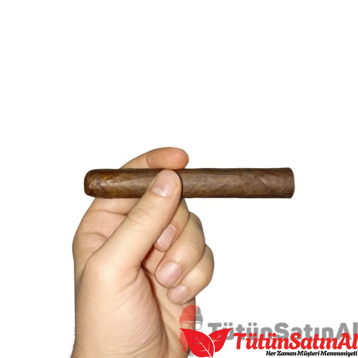 M.J. Frias Natural Robusto Puro 1 M.J. Frias Natural Robusto Puro ürün görseli