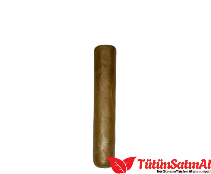 Mj Frias Cigars (5x60) 3 Mj Frias Cigars (5×60) ürün görseli