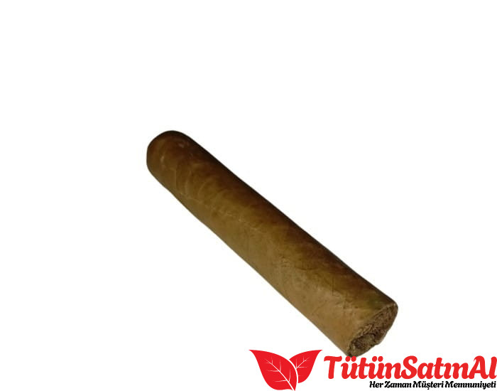 Mj Frias Cigars (5x60) 2 Mj Frias Cigars (5×60) ürün görseli