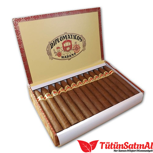 Diplomáticos No. 2 Pirámides Puro – 25'li Kutu 1 Diplomáticos No. 2 Pirámides Puro – 25’li Kutu ürün görseli