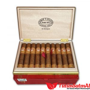 Romeo y Julieta Línea de Oro Hidalgos Puro – 20’li Ahşap Kutu ürün görseli
