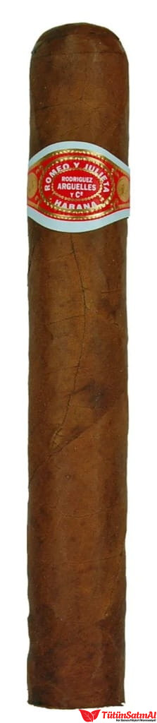 Romeo y Julieta Romeo No. 2 TUBOS Puro – 25'li Kutu 2 Romeo y Julieta Romeo No. 2 TUBOS Puro – 25’li Kutu ürün görseli