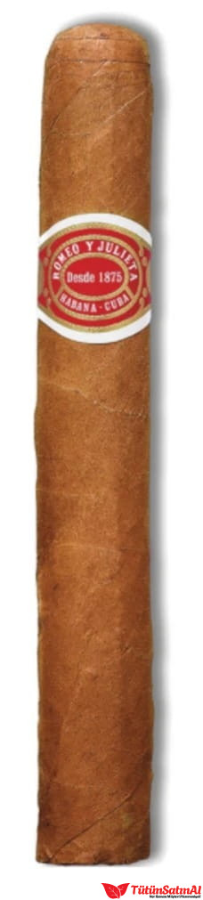 Romeo y Julieta Romeo No. 1 Tubos Puro – 25'li Kutu 2 Romeo y Julieta Romeo No. 1 Tubos Puro – 25’li Kutu ürün görseli