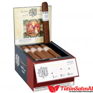 Punch Signature Gigante Puro – 18’li Kutu ürün görseli