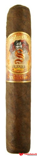 Gurkha Seduction Robusto Puro – 4'lü Paket 2 Gurkha Seduction Robusto Puro – 4’lü Paket ürün görseli