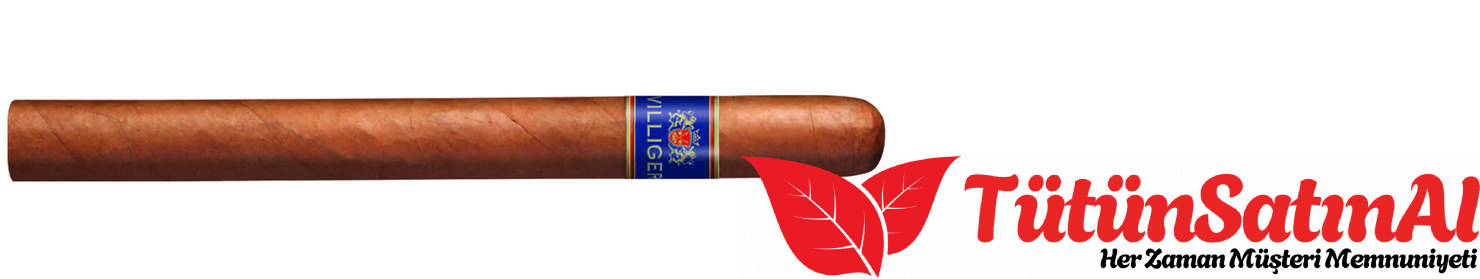 Villiger Blue Tube Cuban Filler – 3’lü Paket 2 Villiger Blue Tube Cuban Filler – 3’lü Paket ürün görseli
